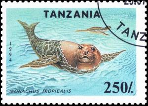 Colnect-3537-251-Caribbean-Monk-Seal-Monachus-tropicalis.jpg