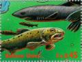 Colnect-138-624-Salmon-Salmo-sp-Greenland-Shark-Somniosus-microcephalus.jpg