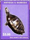 Colnect-5942-836-Haitian-or-Hispanolian-Slider-Trachemys-decorata.jpg