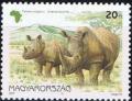 Colnect-610-652-Black-Rhinoceros-Diceros-bicornis.jpg