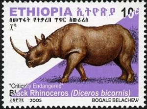 Colnect-1611-522-Black-Rhinoceros-Diceros-bicornis.jpg