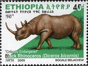 Colnect-1611-531-Black-Rhinoceros-Diceros-bicornis.jpg