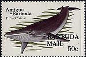 Colnect-2050-011-Fin-Whale-Balaenoptera-physalus---Overprinted.jpg