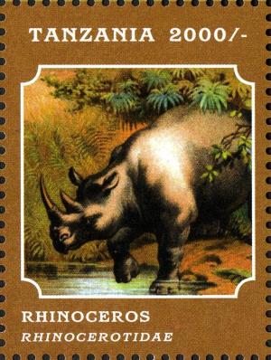Colnect-2427-317-Black-Rhinoceros-Diceros-bicornis.jpg
