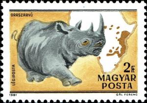 Colnect-4521-088-Black-Rhinoceros-Diceros-bicornis.jpg