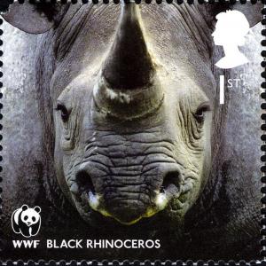 Colnect-911-036-Black-Rhinoceros-Diceros-bicornis.jpg