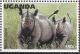 Colnect-1712-454-Black-Rhinoceros-Diceros-bicornis.jpg