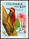 Colnect-2504-975-Crimson-mantled-Woodpecker-Meriania-.jpg