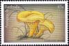 Colnect-3840-421-Cantharellus-cibarus.jpg