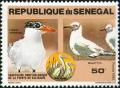 Colnect-2059-542-Bird-Sanctuary--ldquo-La-Pointe-de-Kalissaye-rdquo-----Caspian-Tern-Hyd.jpg