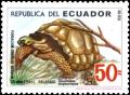Colnect-5205-874-Galapagos-Giant-Tortoise-Chelonoidis-nigra.jpg