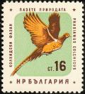 Colnect-621-462-Common-Pheasant-nbsp-Phasianus-colchicus.jpg