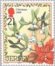 Colnect-127-831-Christmas-plants-Mistletoe---Viscum-album.jpg