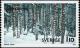 Colnect-4336-451-Winter-forest-scene.jpg