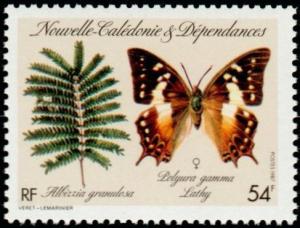 Colnect-854-516-Silk-Tree-Albizia-granulosa-Nawab-Butterfly-Polyuria-gam.jpg