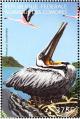 Colnect-3669-567-Brown-Pelican%C2%A0Pelecanus-occidentalis-American-Flamingo-P.jpg