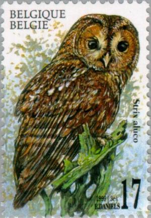 Colnect-187-416-Tawny-Owl-Strix-aluco.jpg
