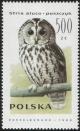 Colnect-1999-890-Tawny-Owl-Strix-aluco.jpg