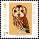 Colnect-5291-548-Tawny-Owl-Strix-aluco.jpg