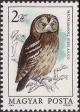 Colnect-603-646-Tawny-Owl-Strix-aluco.jpg