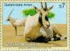 Colnect-139-020-Arabian-Oryx-Oryx-leucoryx.jpg
