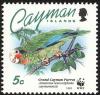 Colnect-1458-121-Cayman-Island-Amazon-Amazona-leucocephala-caymanensis.jpg