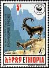Colnect-2774-122-Ethiopian-ibex-Capra-ibex-walie.jpg