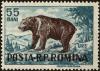 Colnect-4318-503-Brown-Bear-Ursus-arctos.jpg