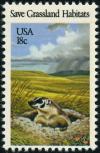 Colnect-4845-884-American-Badger-Taxidea-taxus-.jpg