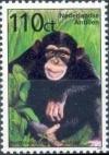 Colnect-964-882-Chimpanzee-Pan-troglodytes.jpg