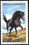 Colnect-975-843-Stallion-Equus-ferus-caballus.jpg