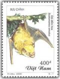 Colnect-1659-605-Harlequin-Bat-Scotomanes-ornatus.jpg