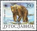 Colnect-3467-620-Brown-Bear-Ursus-arctos.jpg