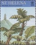 Colnect-4456-446-Tree-fern-Dicksonia-arborescens.jpg