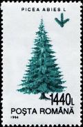 Colnect-4930-288-Common-Spruce-Picea-abies.jpg
