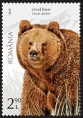Colnect-5778-962-Brown-Bear-Ursus-arctos.jpg