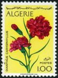 Colnect-722-316-Carnation-Dianthus-caryophyllus.jpg