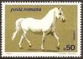 Colnect-743-500-Lippizan-Equus-ferus-caballus.jpg