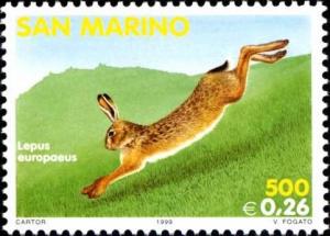Colnect-1076-942-European-hare-Lepus-europaeus.jpg
