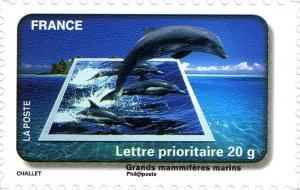 Colnect-1117-713-Dolphin-large-marine-mammals.jpg