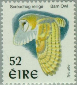 Colnect-129-365-Western-Barn-Owl-Tyto-alba.jpg