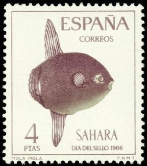 Colnect-1388-350-Ocean-Sunfish-Mola-mola.jpg