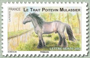 Colnect-1527-772-Poitevin-Equus-ferus-caballus.jpg