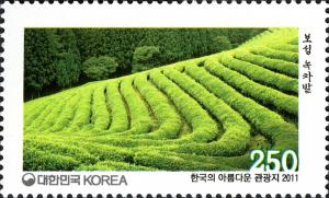 Colnect-1605-753-A-green-tea-filed-in-Boseong.jpg