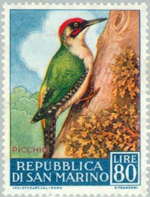 Colnect-170-051-Eurasian-Green-Woodpecker-Picus-viridis-.jpg
