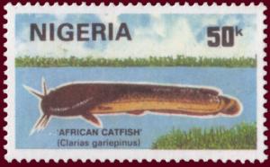 Colnect-1729-314-North-African-Catfish-Clarias-gariepinus.jpg