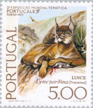 Colnect-173-622-Iberian-lynx-Lynx-pardinus.jpg