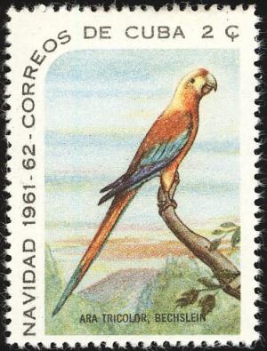 Colnect-1925-893-Cuban-Macaw-Ara-tricolor.jpg