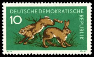 Colnect-1970-817-European-Hare-Lepus-europaeus.jpg