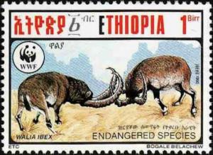 Colnect-2774-125-Ethiopian-ibex-Capra-ibex-walie.jpg